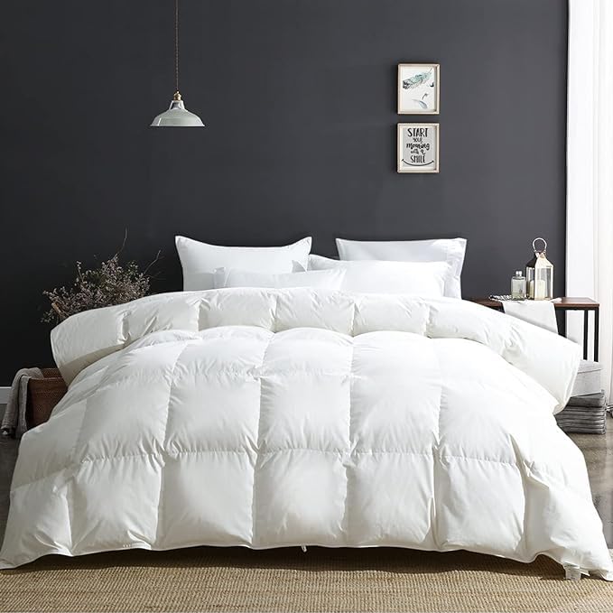 APSMILE Duvet Insert King,Fluffy Down Feather Fibers Comforter-All Season