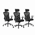 Marsail Ergonomic Office Chair with Lumbar Support and 2D Headrest