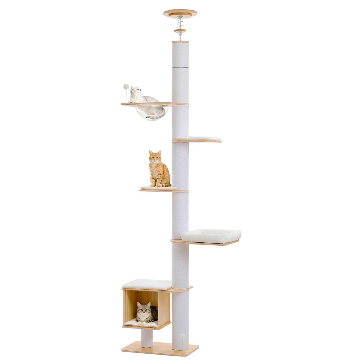 PAWZ Road Cat Wall Shelves, Modern Cat Wall Furniture with Sisal Posts