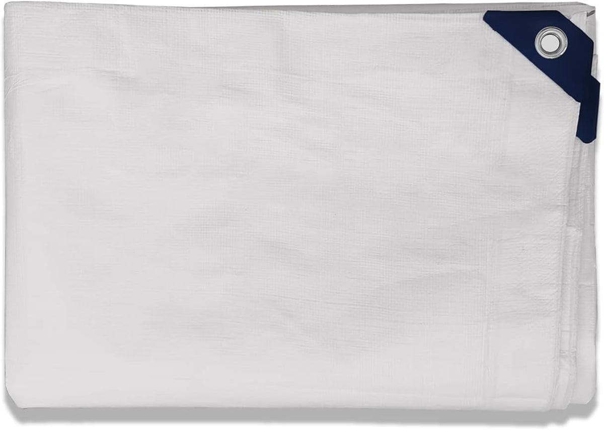 Coarbor 20' x 30' Waterproof Tarp Heavy Duty 10 Mil Multi Purpose Thick Poly Tarp Cover for Camping Patio Boat Roof Pool Tent RV Car, Silver