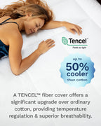 Viscosoft 4 Inch Hybrid Mattress Topper Queen - Memory Foam & Pillow Top