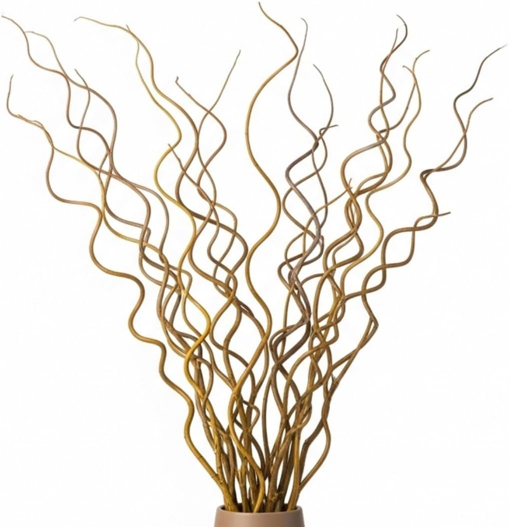 CZ Grain Natural Curly Willow Branches for Decor, 16-24 Inches Long - Wedding Centerpieces, Christmas Decorations, Floral Arrangements, Wreathmaking & Craft Projects (50 Curly Branches)