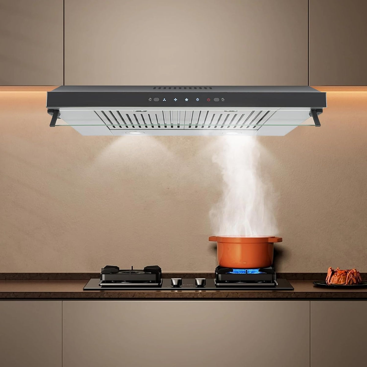 Range Hood 24 Inch Under Cabinet 350CFM Dual Motor 3-Speed Stainless Steel