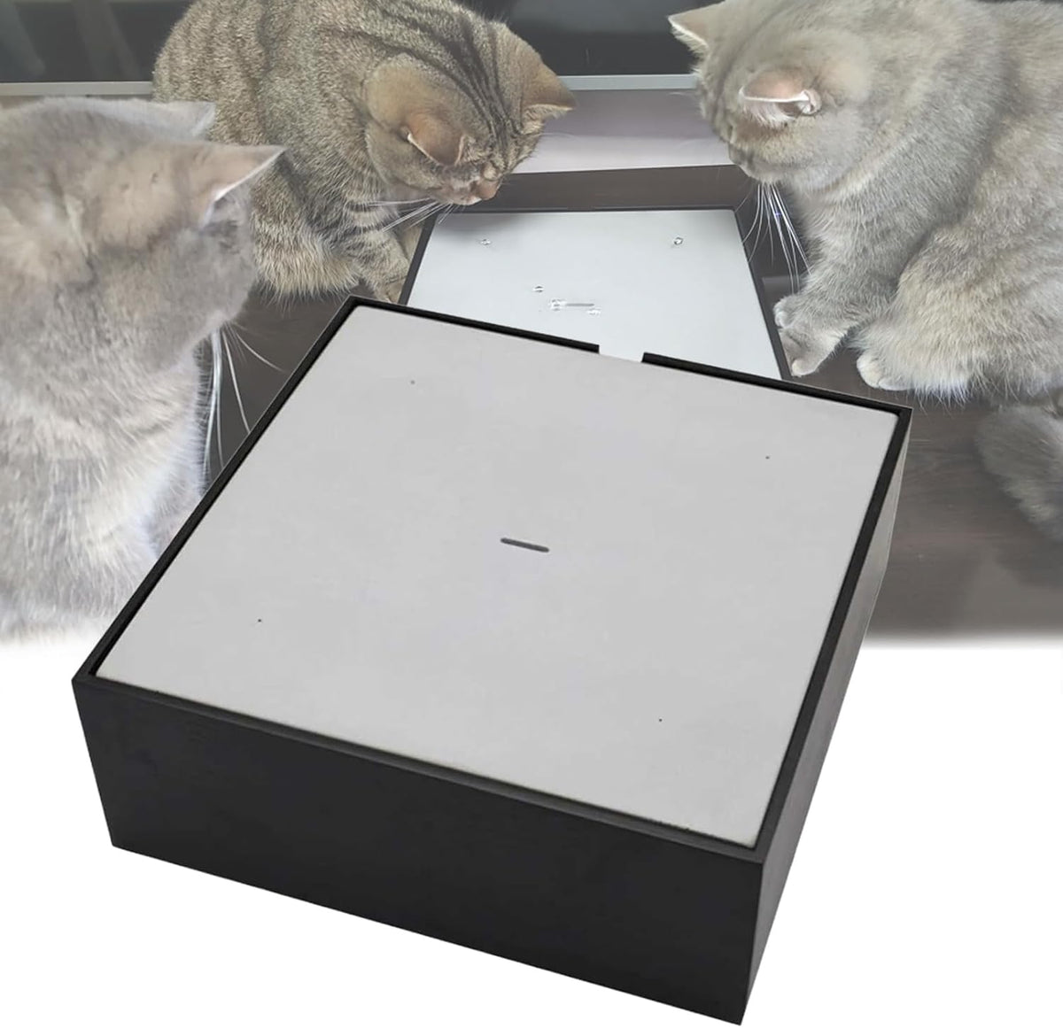 Automatic Water Drop Cat Teaser, Electric Water Drop Cat Toy with 600ml Water Storage Box, Built-in Removable Washable Filter, Adjustable Flow Rate, for Home Relaxation and Stress Relief (Black )