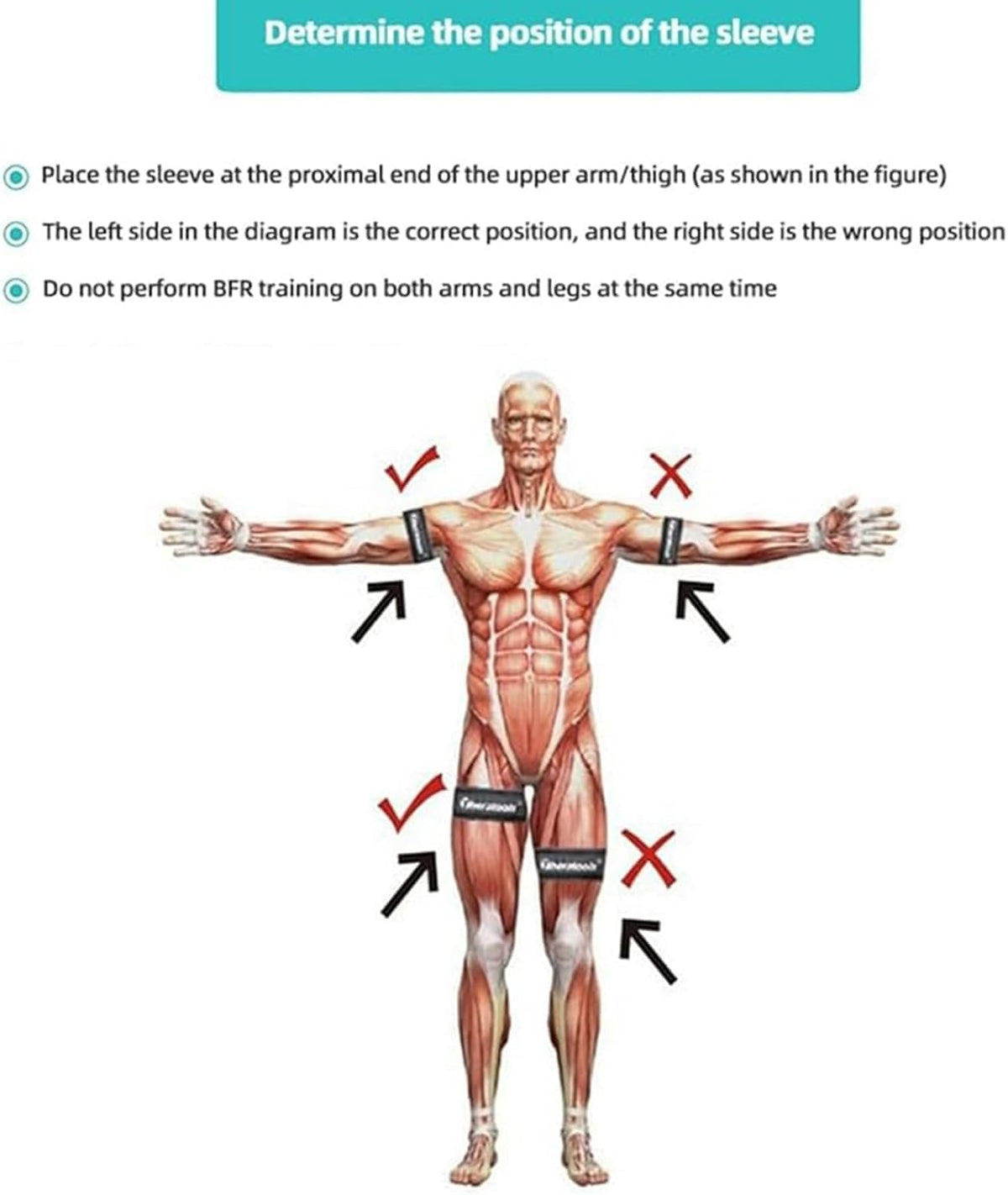 BFR Training System Blood Flow Restriction Bands Complete Arm Package