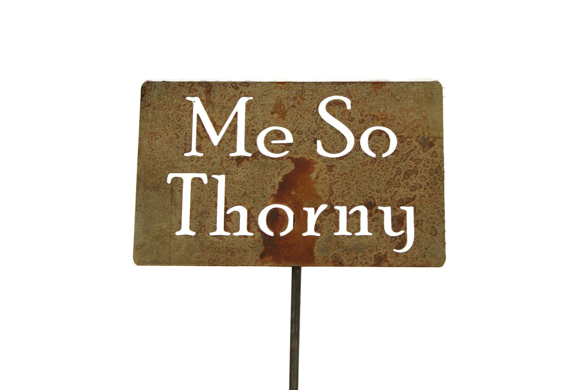 Funny Garden Stake 20 to 33 Inches Tall (Please Don't Die, Large 28" Tall)