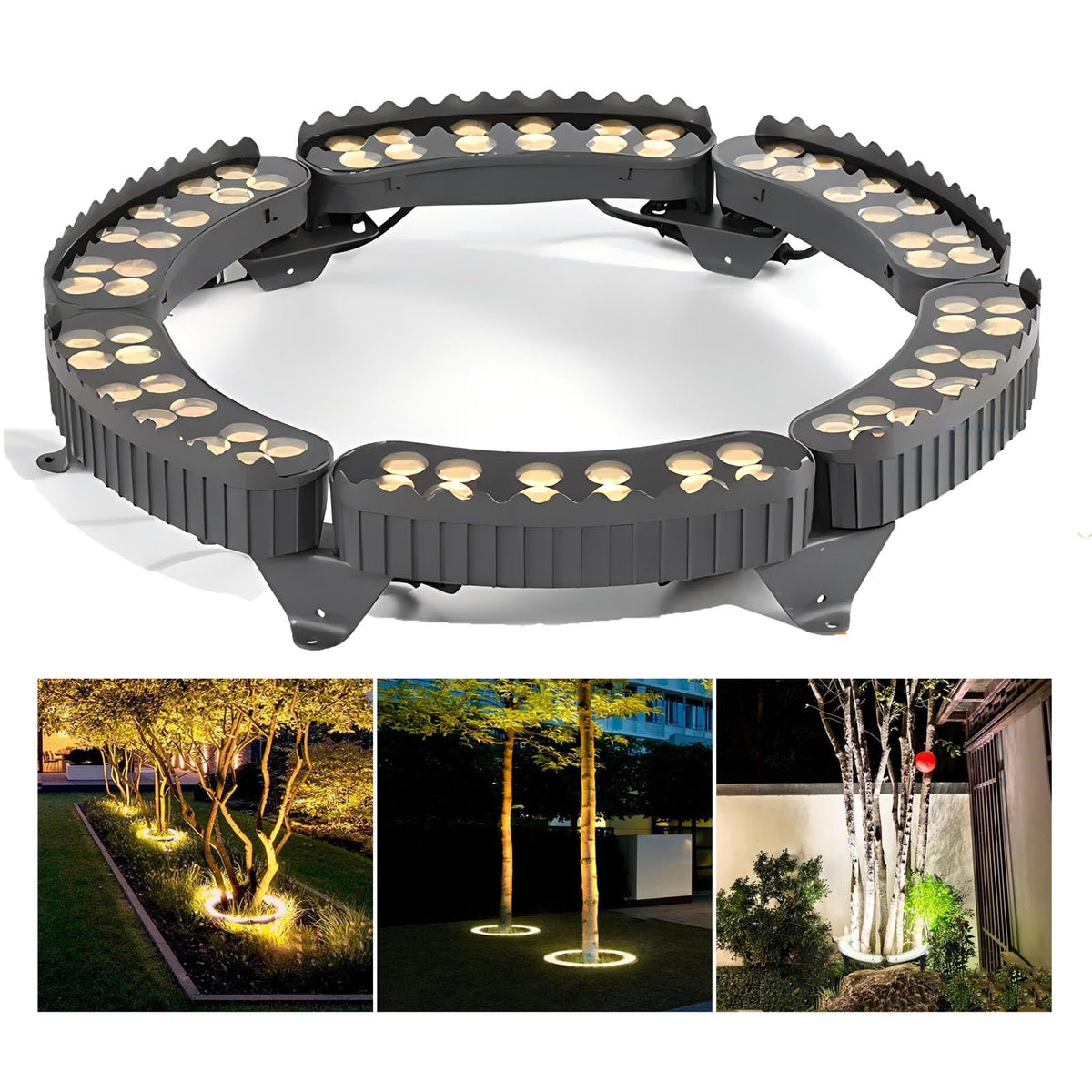 Outdoor Garden Lights, LED Low Voltage Landscape Tree Ring Lights, Palm Tree Lights, IP65 Weatherproof(Warm White Light,Pack of 6)