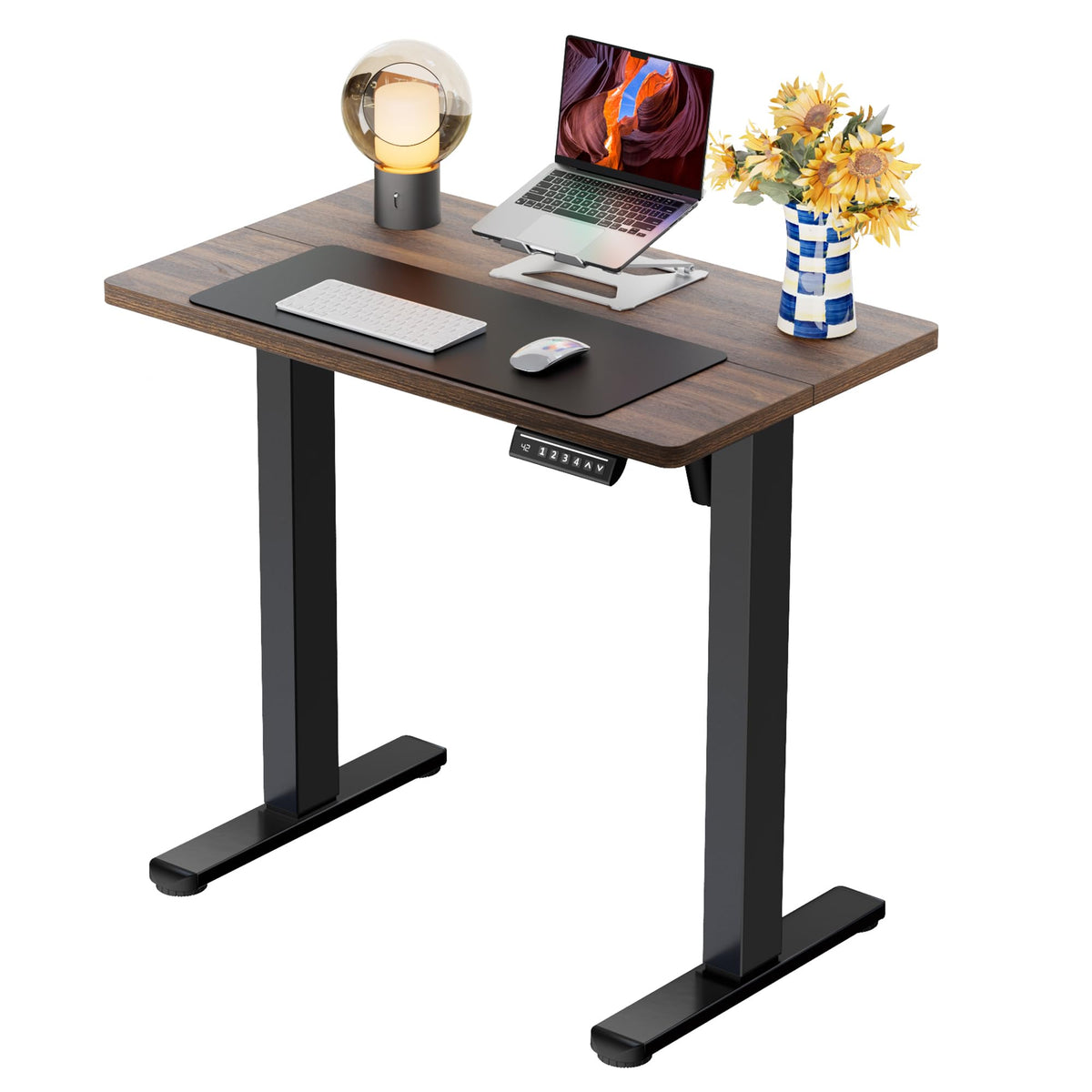 ErGear Height Adjustable Electric Standing Desk, 48 x 24 Inches Sit Stand up Desk, Memory Computer Home Office Desk, Vintage Brown