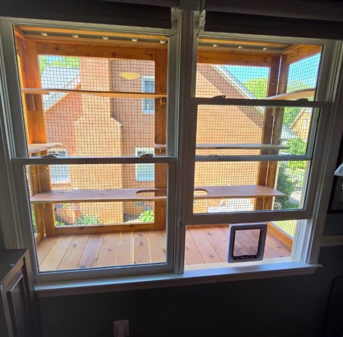 Custom Cat Door Window Insert - Plexiglass | Insulated & Weather-Sealed | Tool-Free Install for Horizontal & Vertical Windows | Microchip Lock Options | Made in USA | Small Dogs & Pets