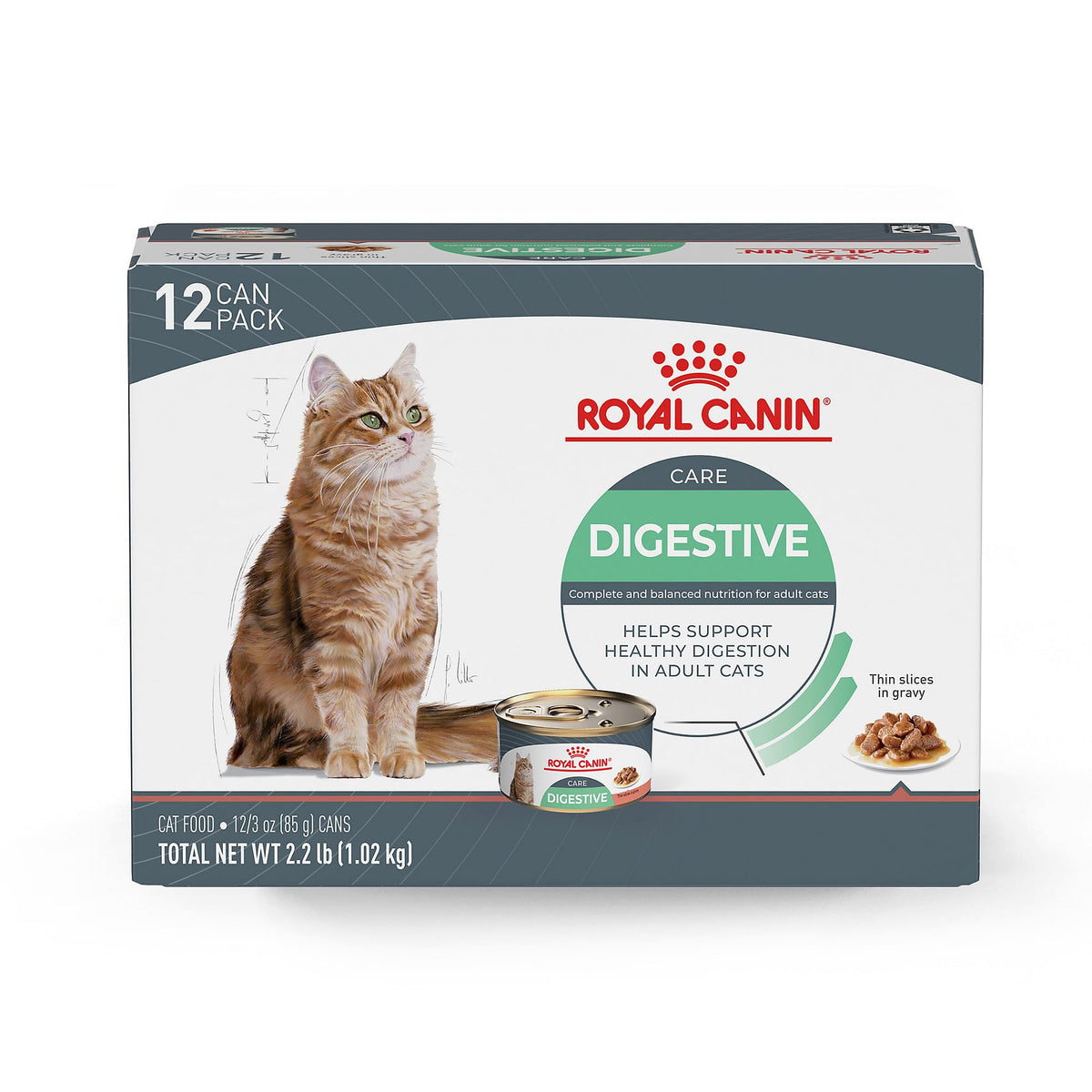 Royal Canin Feline Care Nutrition Digestive Care Adult Thin Slices in Gravy Cat Food, 3 oz (Pack of 24)