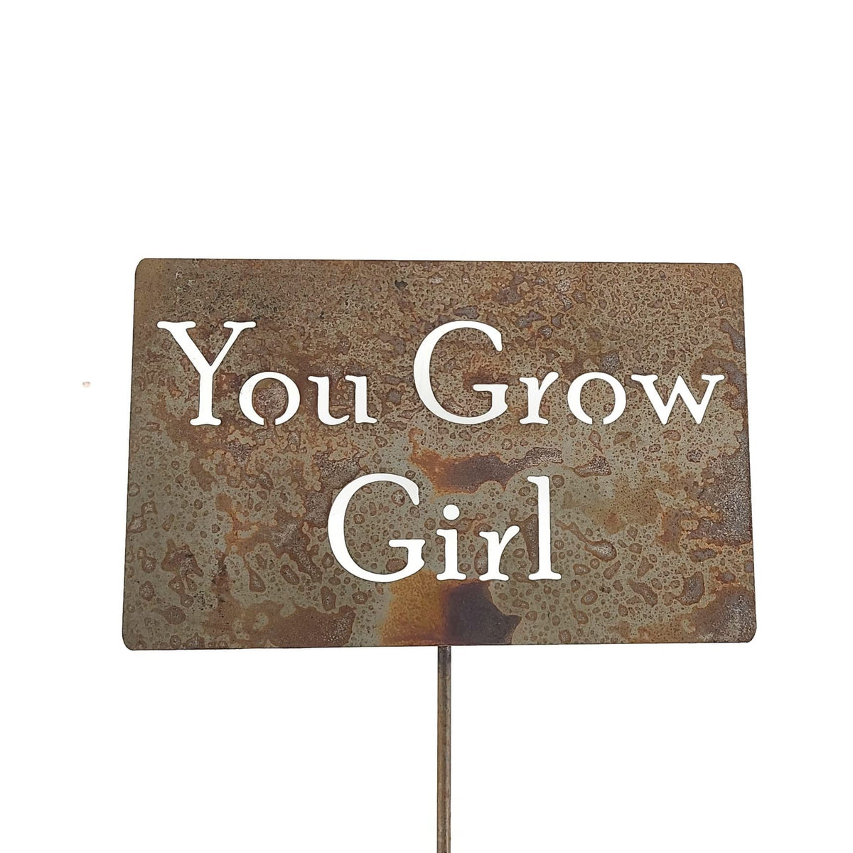Funny Garden Stake 20 to 33 Inches Tall (No Pesticides Please, XL 33" Tall)