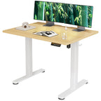 Claiks Electric Height Adjustable Standing Desk, 32x19 Inch, Nature