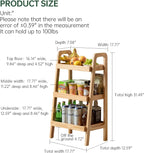 100% Solid Oak 3 Tier Ladder Shelf for Saving Space, Small Bookshelf with Stable Frame, Free Standing Ladder Shelves for Living Room Bedroom Couch, (Natural, 17.72" W x 12.6" L x 31.5" H)