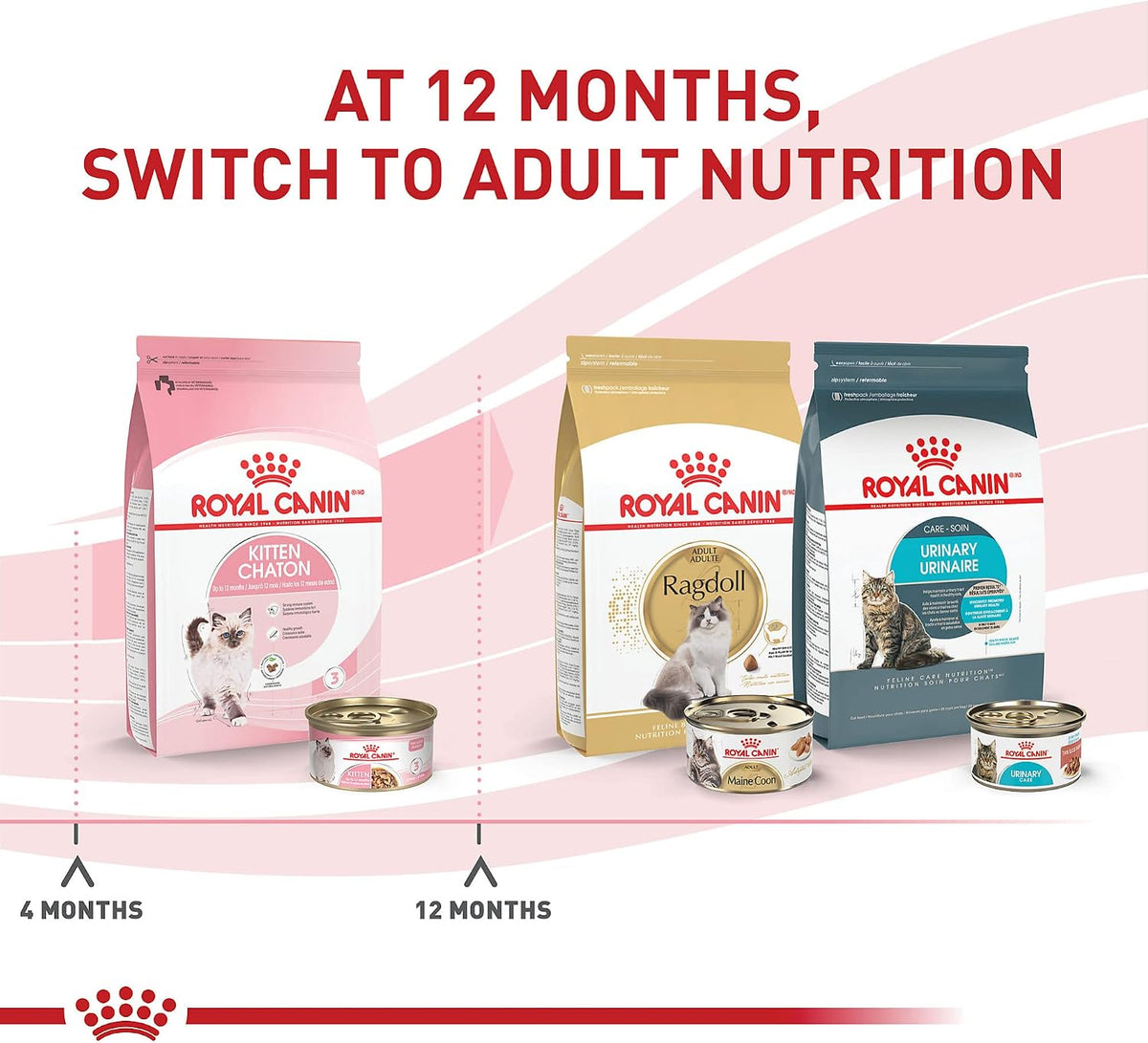 Royal Canin Feline Health Nutrition Kitten Thin Slices in Gravy Cat Food, 3 oz (Pack of 24).