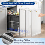 Insputer Dual 40QT Pull Out Trash Can Under Cabinet with Soft-Close Slides