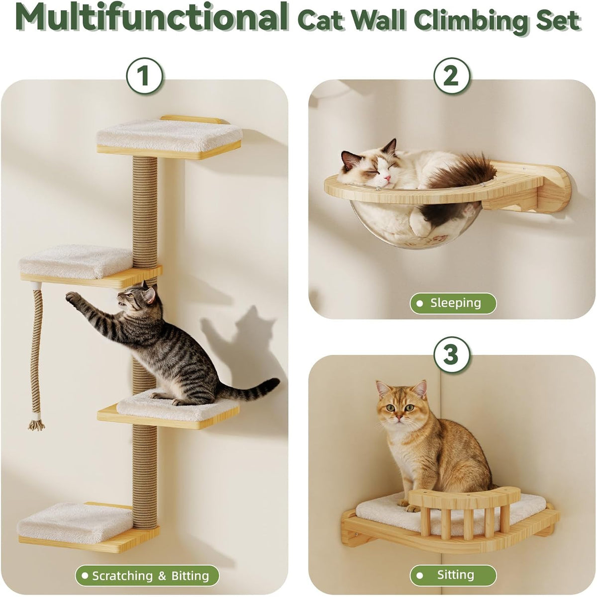 BYBYME 12-PCS Cat Wall Shelves, Pine Climbing System with Space Capsule