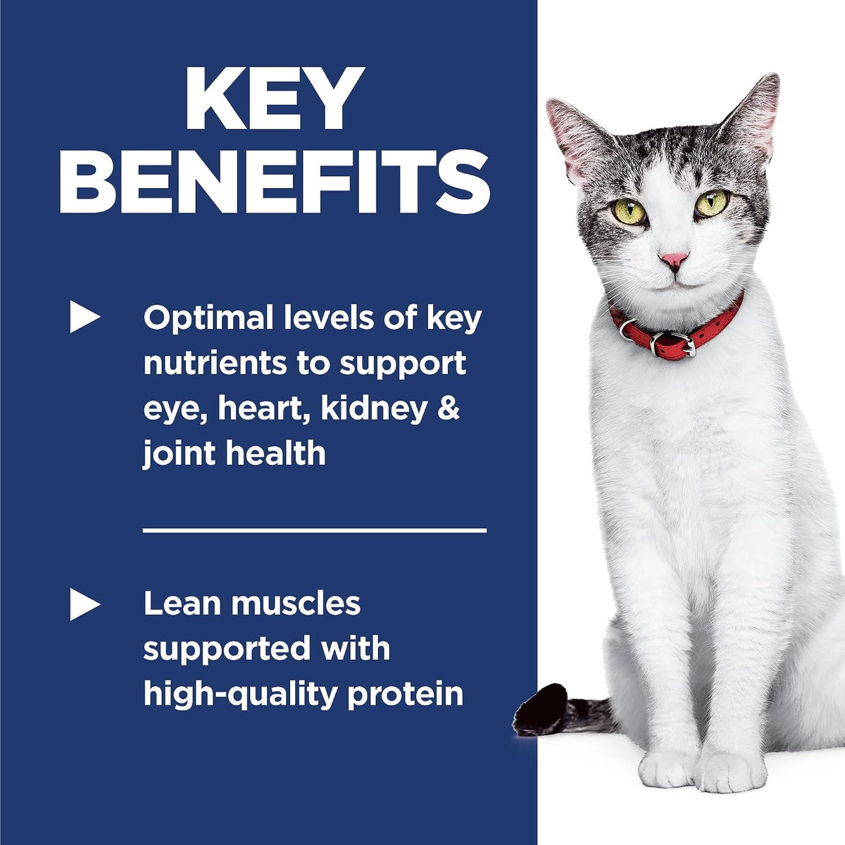 Hill's Science Diet Senior 11+ Dry Cat Food