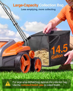 TaskStar Dethatcher and Scarifier, 16 Inch Lawn Dethatcher with Thatch Rake