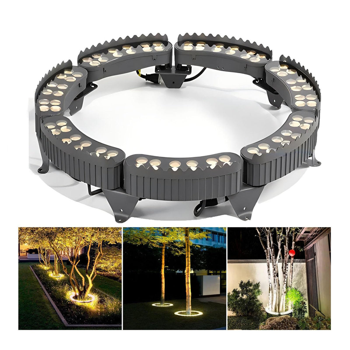 Outdoor Garden Lights, LED Low Voltage Landscape Tree Ring Lights, Palm Tree Lights, IP65 Weatherproof(Warm White Light,Pack of 6)