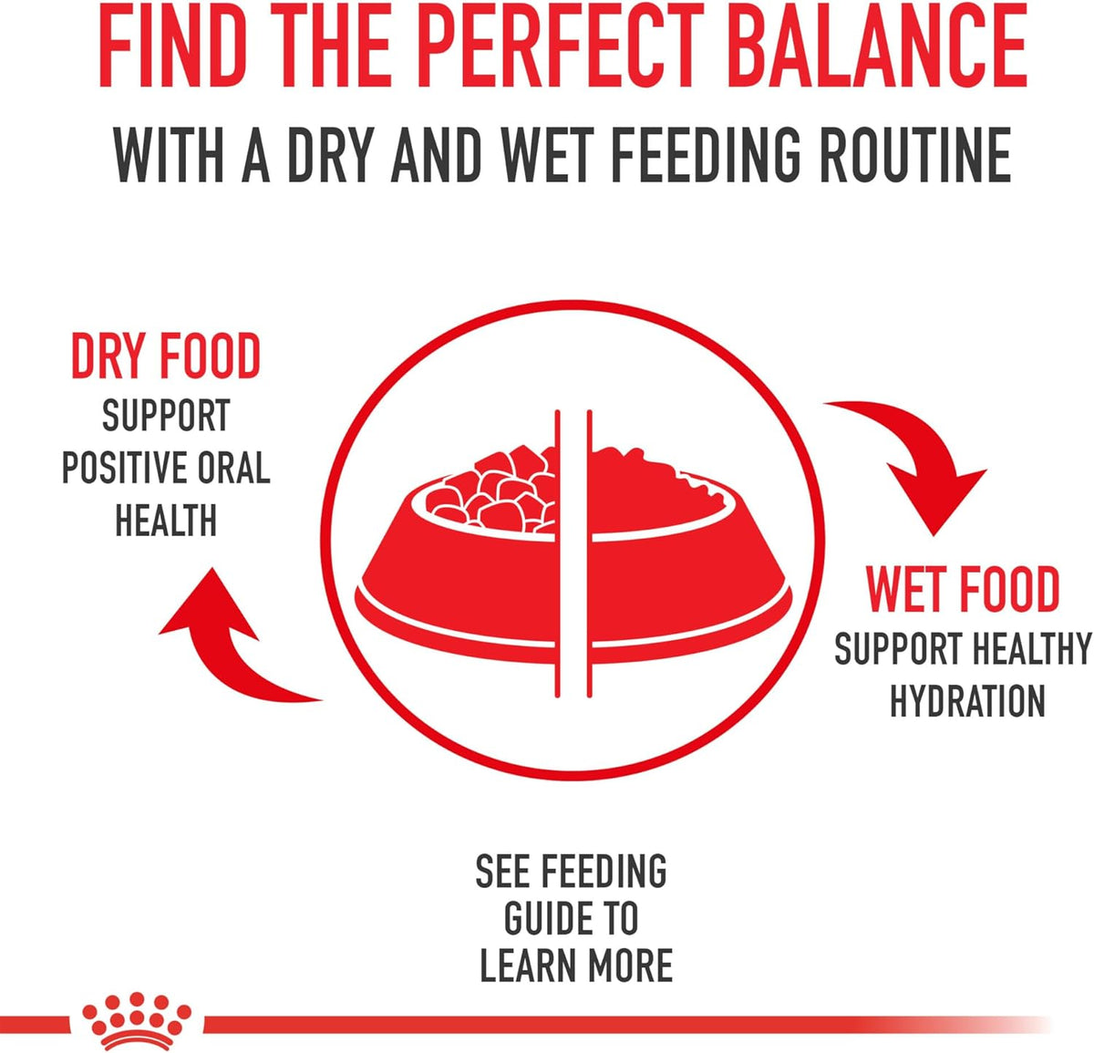 Royal Canin Feline Health Nutrition Indoor Adult Dry Cat Food, 15 lb Bag
