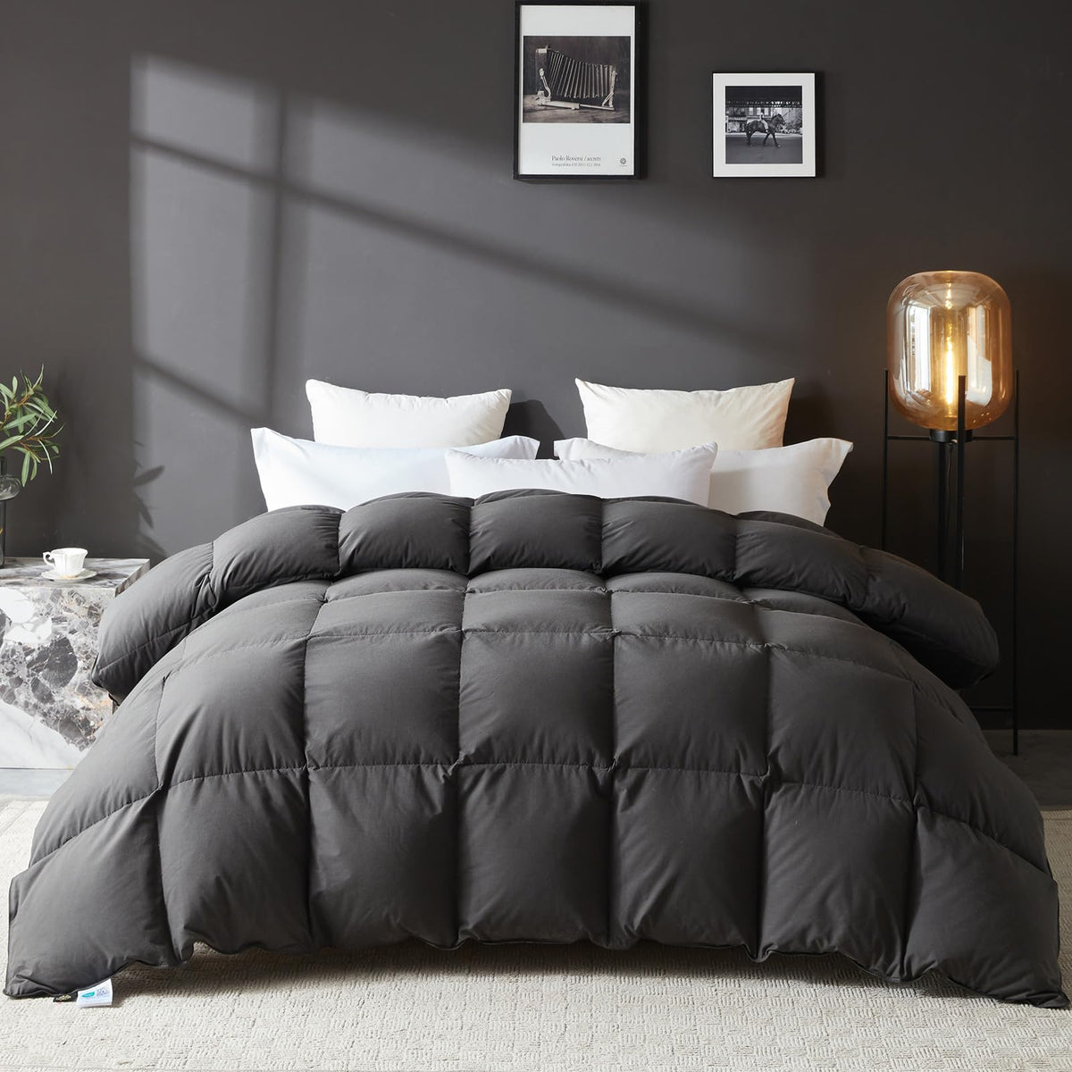 L LOVSOUL Goose Feather Down Fiber Comforter Queen,All Season Duvet Insert