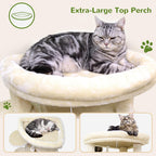 Globlazer 66inch Corner Cat Tree Tower for Indoor Large Cats, C66, Beige