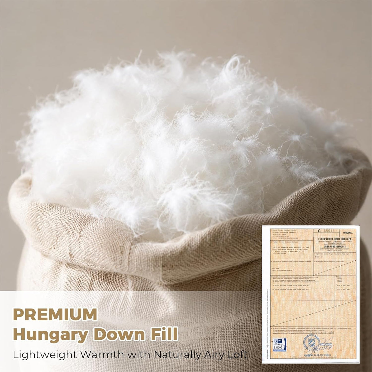 Hungarian Feather Down Comforter Queen,100% Organic Cotton Duvet Insert
