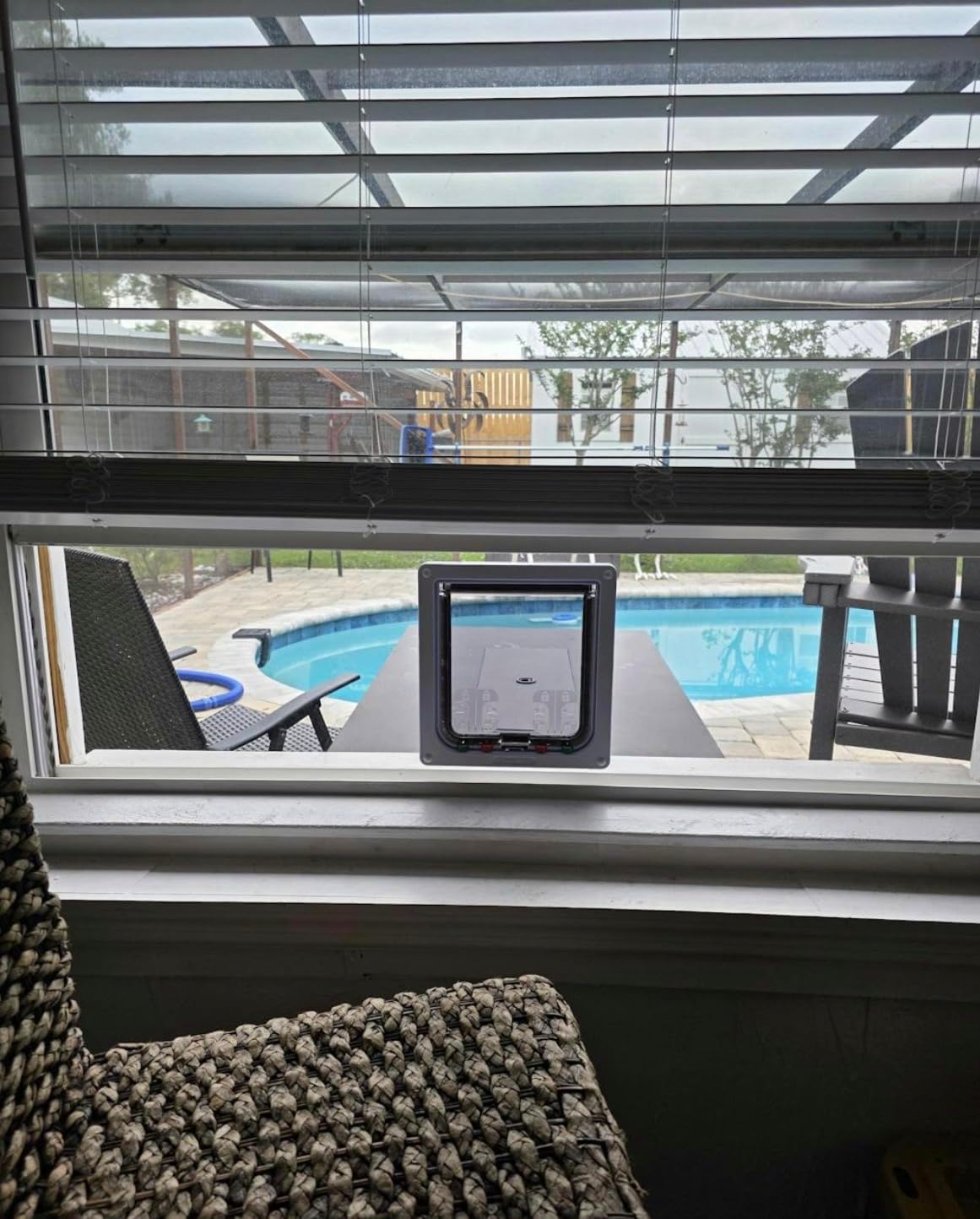 Custom Cat Door Window Insert - Plexiglass | Insulated & Weather-Sealed | Tool-Free Install for Horizontal & Vertical Windows | Microchip Lock Options | Made in USA | Small Dogs & Pets