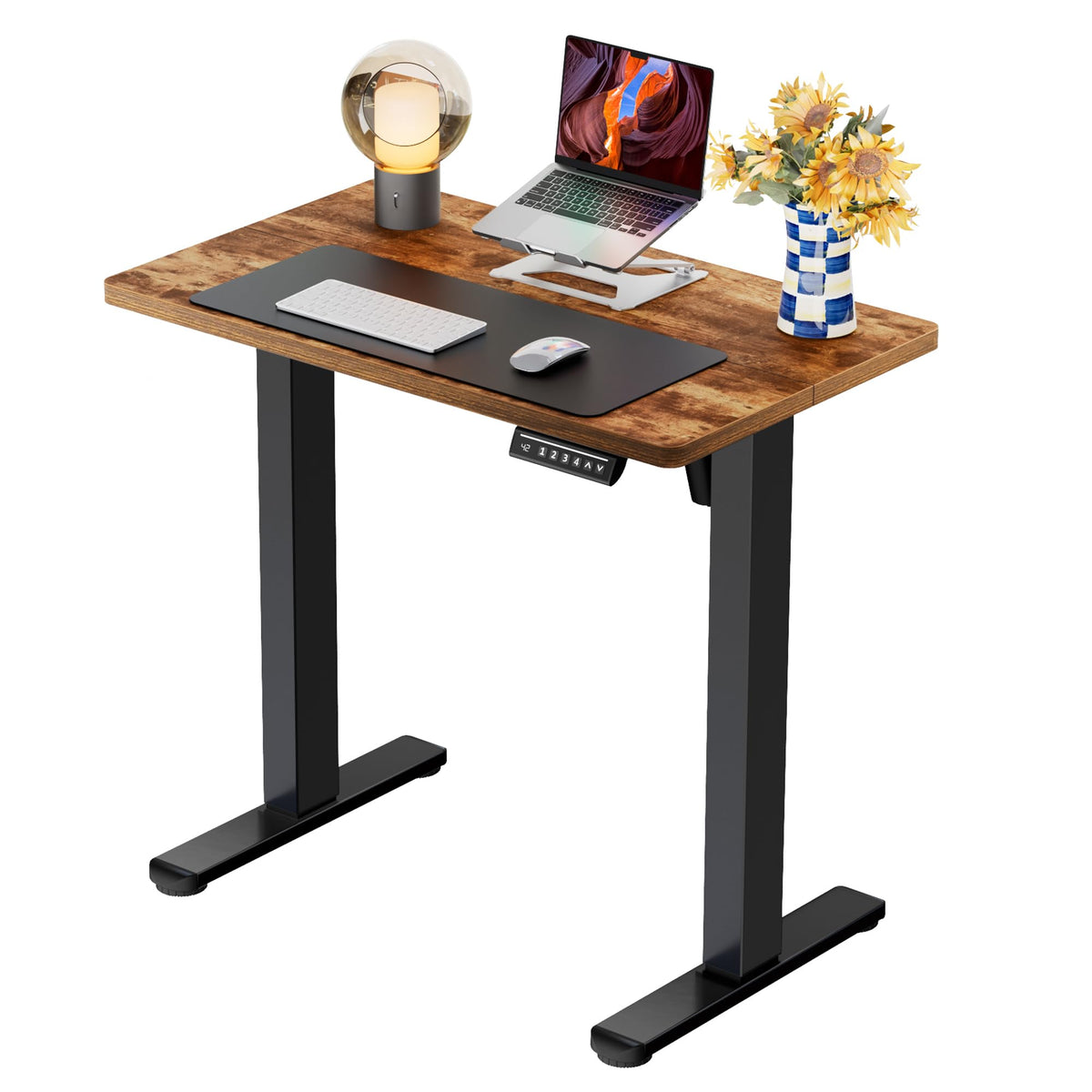 ErGear Height Adjustable Electric Standing Desk, 48 x 24 Inches Sit Stand up Desk, Memory Computer Home Office Desk, Vintage Brown