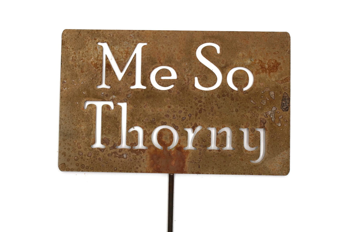 Funny Garden Stake 20 to 33 Inches Tall (Gardener Wanted, XL 33" Tall)
