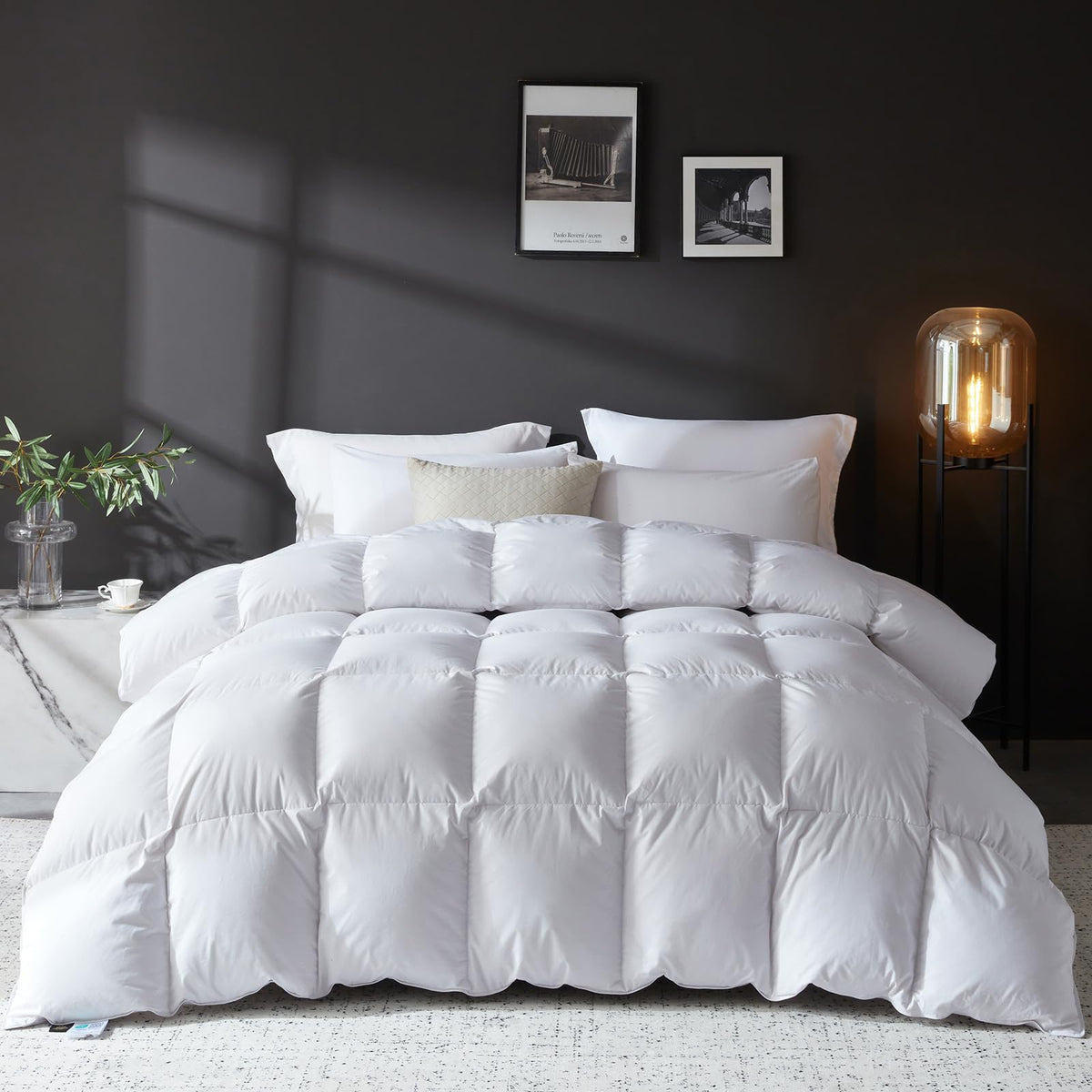 L LOVSOUL Goose Feather Down Fiber Comforter Queen,All Season Duvet Insert