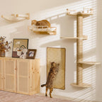 FUKUMARU Cat Wall Shelves, 5 in 1 Set, Beige