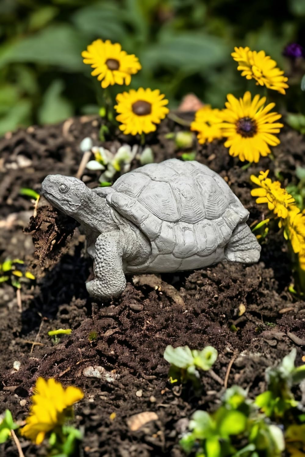 Concrete Box Turtle Statue Detailed Wild Turtle Figurine Outdoor Massive Turtle Sculpture