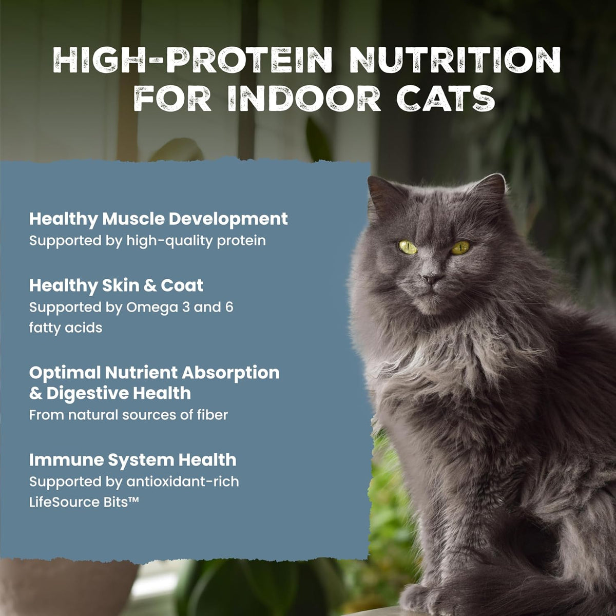 Blue Buffalo Wilderness Chicken Adult Indoor Dry Cat Food, Grain-Free 15 lb
