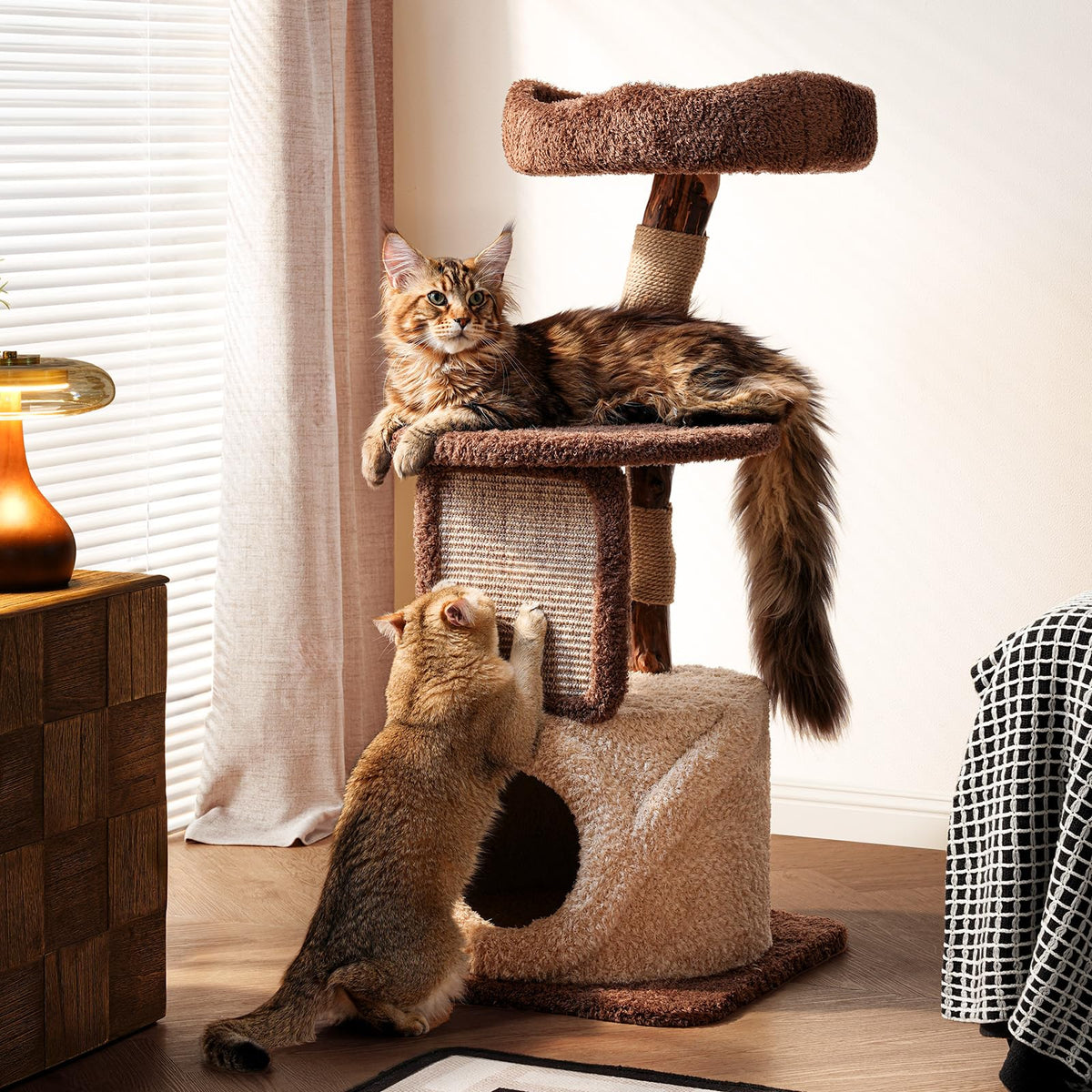 Sopapets 40" Small Cat Tree for Apartments, Modern Cat Tower for Indoor Cats with Solid Wood Branch, Sisal Scratching Posts, Plush Perches and Hideaway Condo, Brown