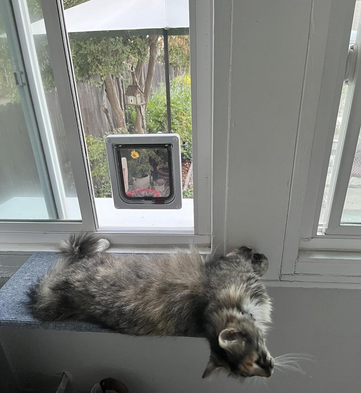 Custom Cat Door Window Insert - Plexiglass | Insulated & Weather-Sealed | Tool-Free Install for Horizontal & Vertical Windows | Microchip Lock Options | Made in USA | Small Dogs & Pets