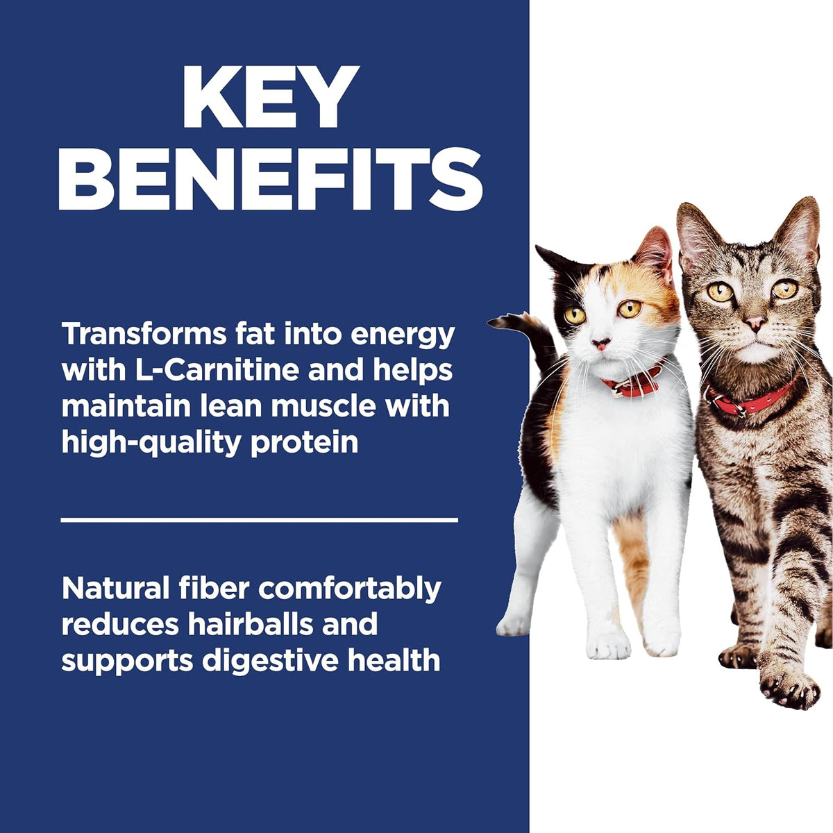 Hill's Science Diet Adult 1-6 Multiple Benefit Dry Cat Food