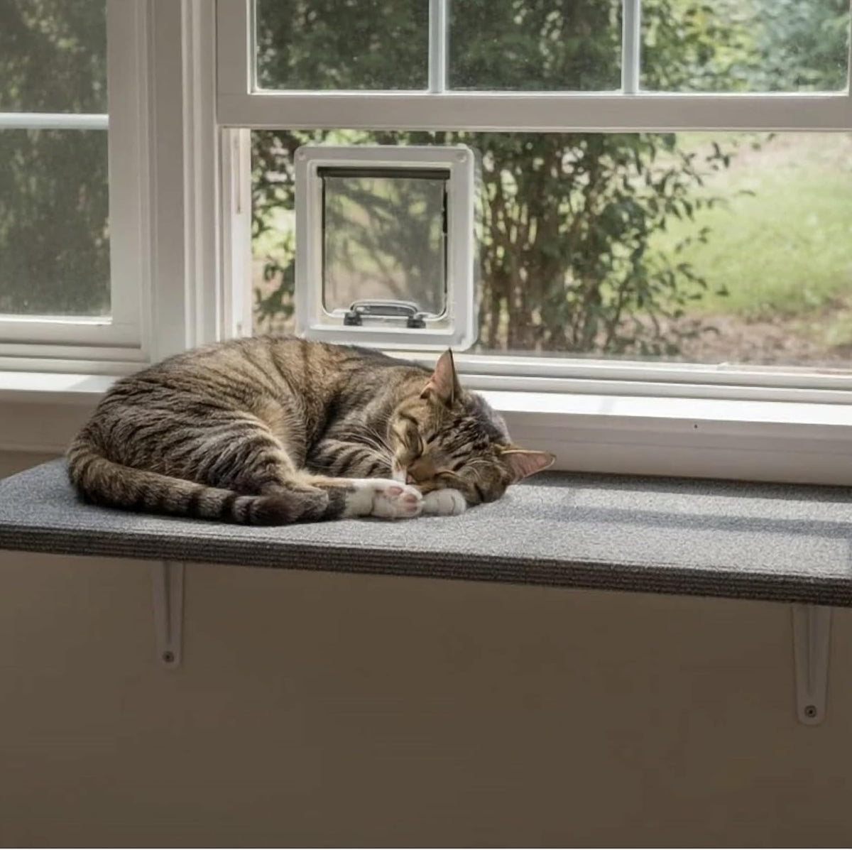 Custom Cat Door Window Insert - Plexiglass | Insulated & Weather-Sealed | Tool-Free Install for Horizontal & Vertical Windows | Microchip Lock Options | Made in USA | Small Dogs & Pets