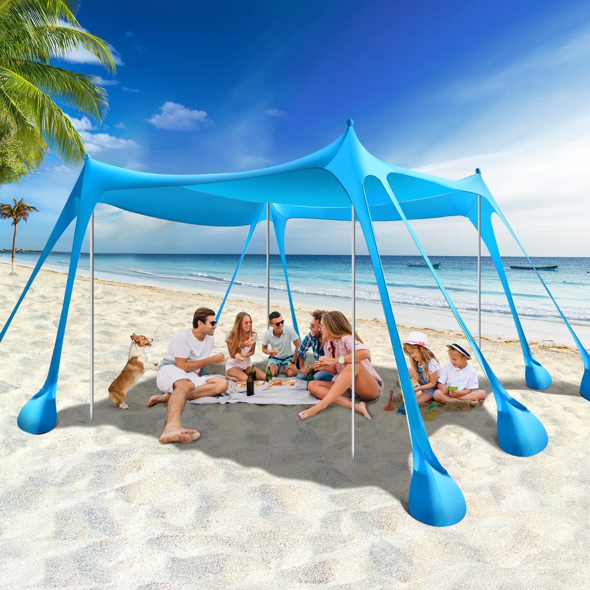 Rhino Valley 10 x 10 FT Beach Tent UPF50+ with 8 Sandbags 4 Poles, Sky Blue