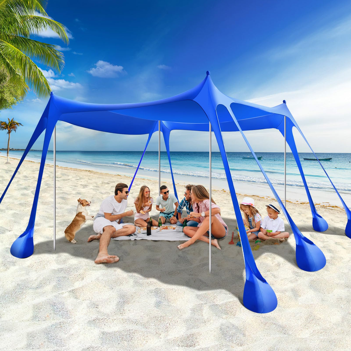 Rhino Valley 10 x 10 FT Beach Tent UPF50+ with 8 Sandbags 4 Poles, Sky Blue