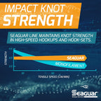 Seaguar Blue Label Fishing Leader Line for Saltwater, 100% Fluorocarbon, Clear, Multiple Sizes