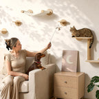 FUKUMARU Cat Wall Shelves, 5 in 1 Set, Beige