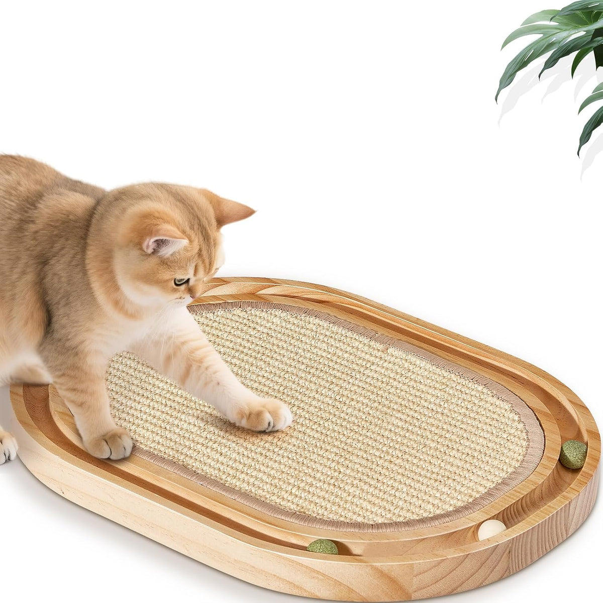 Oval Sisal Cat Scratcher with Ball Track - Woven Sisal Scratching Pad & Interactive Cat Toy, Wooden Track with 3 Toy Balls for Indoor Cats, No Assembly Needed