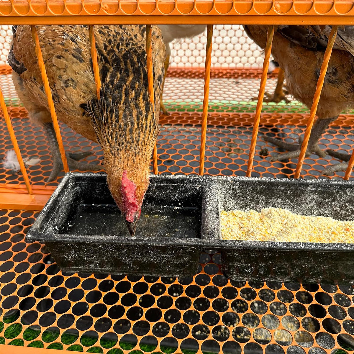 Large Chicken Coop Rabbit Hutch Outdoor Yard Poultry Cage and Run Hen Duck Coop with Removable Tray for Various Pets(Size:39.37x23.6x28.7in)