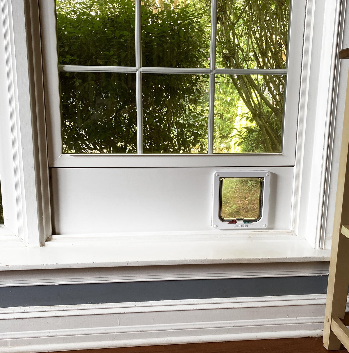Custom Cat Door Window Insert - Plexiglass | Insulated & Weather-Sealed | Tool-Free Install for Horizontal & Vertical Windows | Microchip Lock Options | Made in USA | Small Dogs & Pets